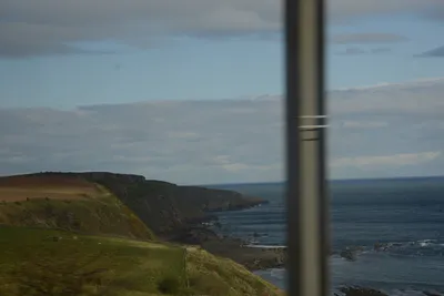 DSC_7270 (Large).JPG